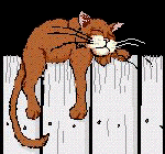 katzerani1.gif